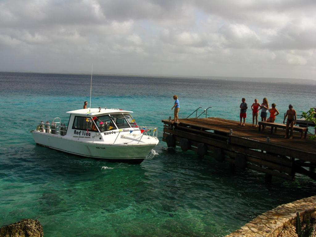 Belmar Oceanfront Apartments Bonaire Exteriér fotografie