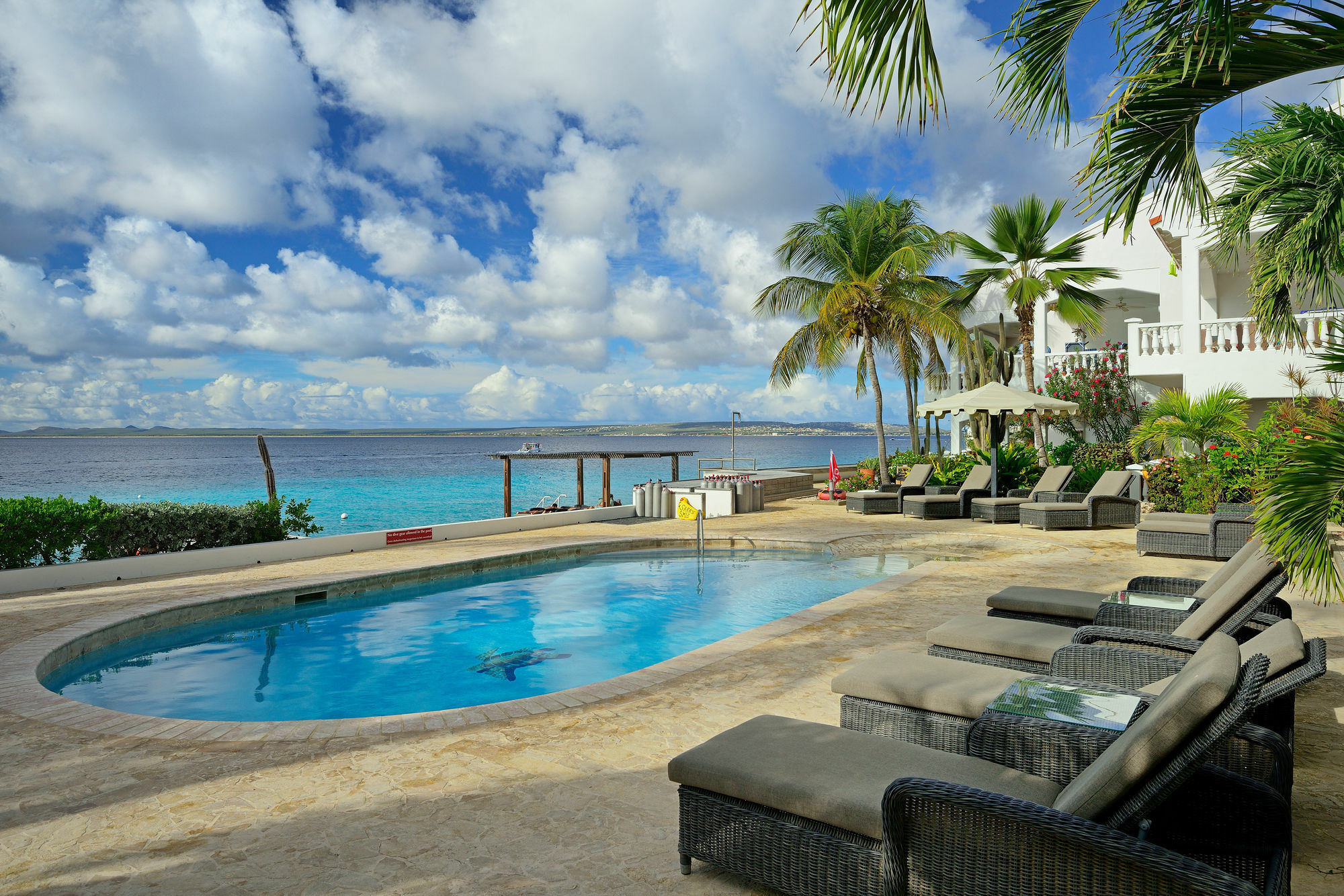 Belmar Oceanfront Apartments Bonaire Exteriér fotografie